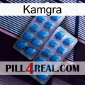 Kamgra viagra2